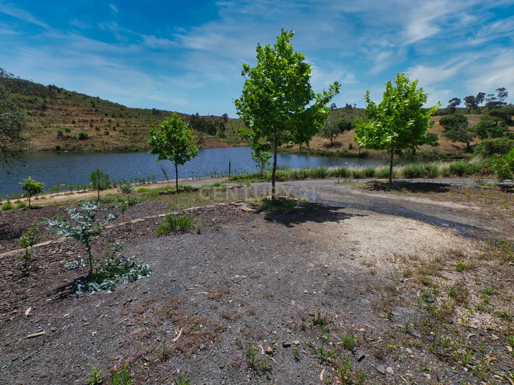 Herdade de 271 Hectares no Barlavento Algarvio, com moradia + 4 estudios, piscina, 9 barragens, 3 estufas. - Image 57