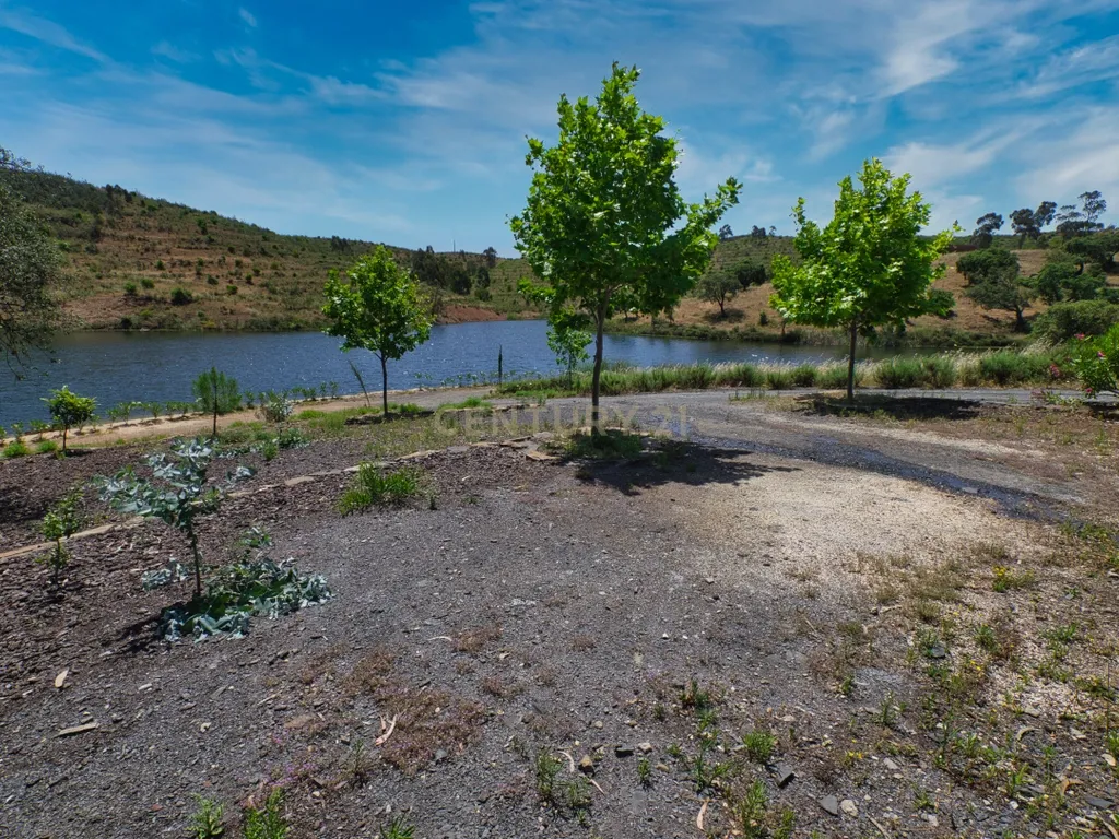 Herdade de 271 Hectares no Barlavento Algarvio, com moradia + 4 estudios, piscina, 9 barragens, 3 estufas. - Image 57