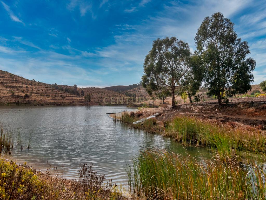 Herdade de 271 Hectares no Barlavento Algarvio, com moradia + 4 estudios, piscina, 9 barragens, 3 estufas. - Image 62