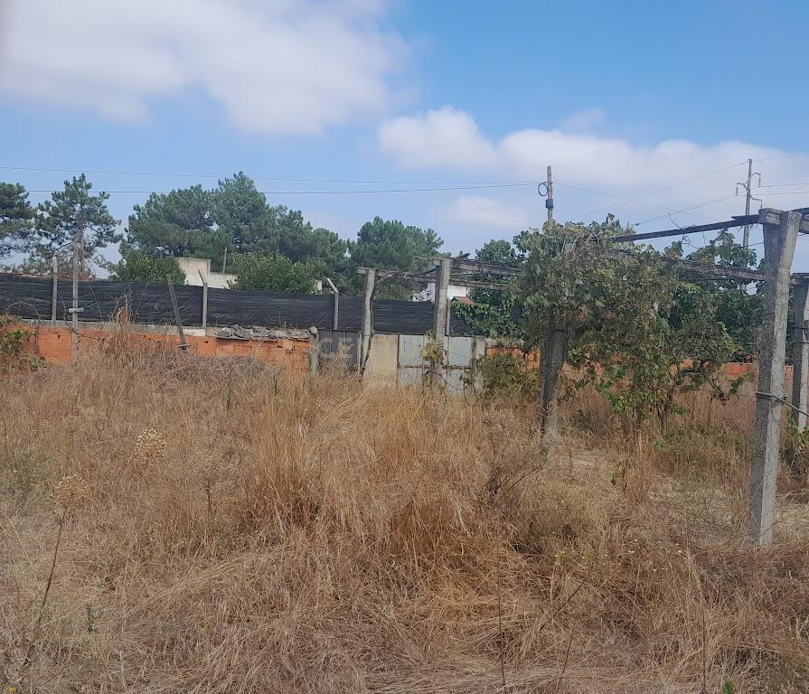 TERRENO NA QUINTA DO ANJO - Image 1