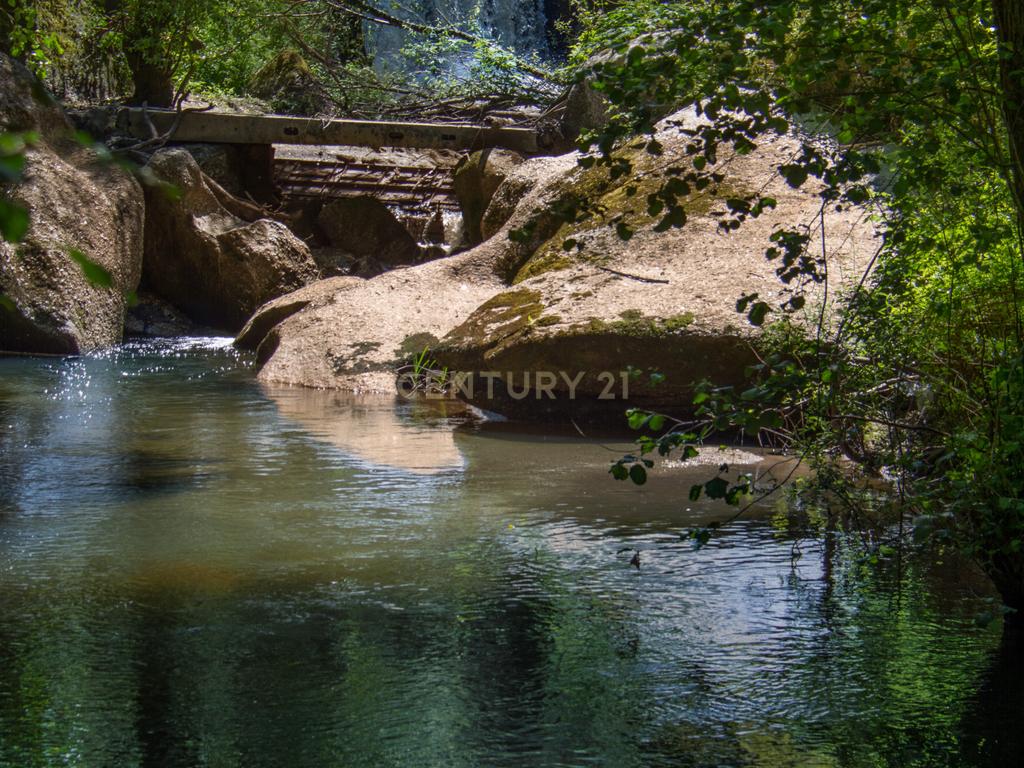 Quinta em  Midões, Tábua, com cerca de 6 hectares junto ao Rio Cavalos com moinho de água! - Image 6