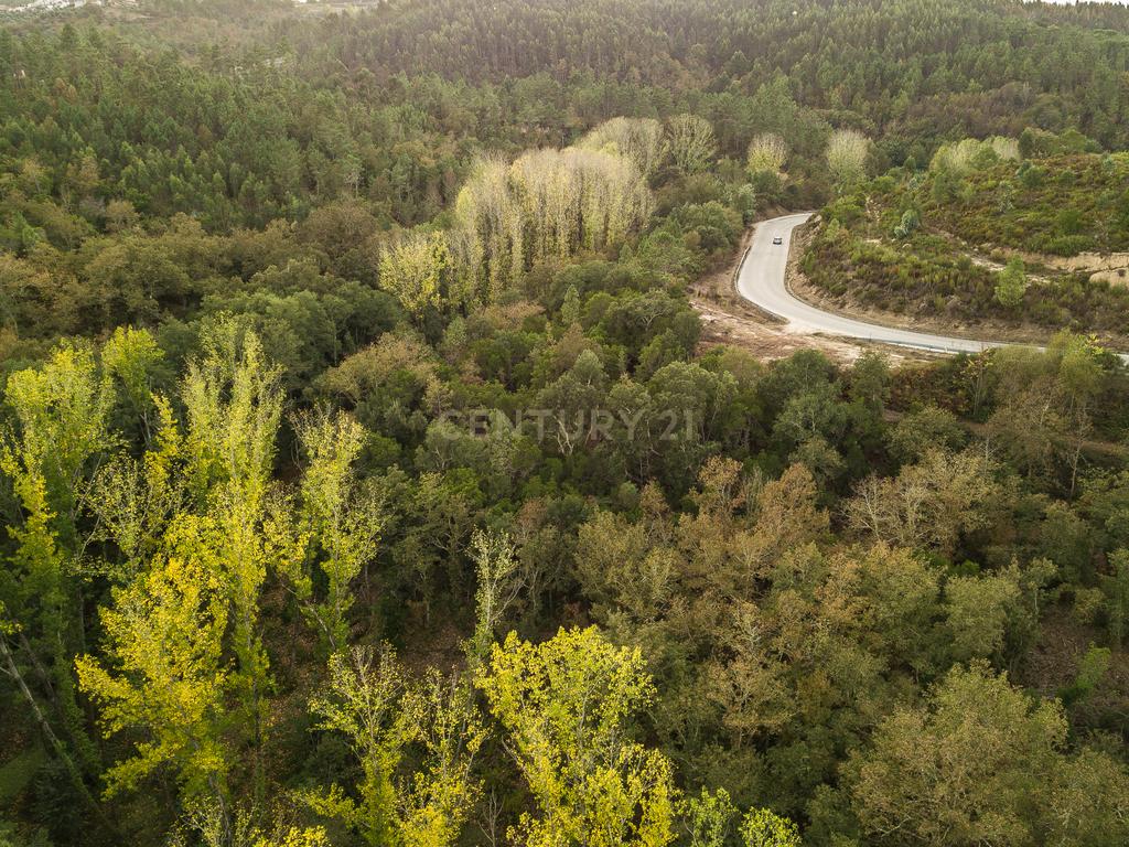 Quinta em  Midões, Tábua, com cerca de 6 hectares junto ao Rio Cavalos com moinho de água! - Image 8