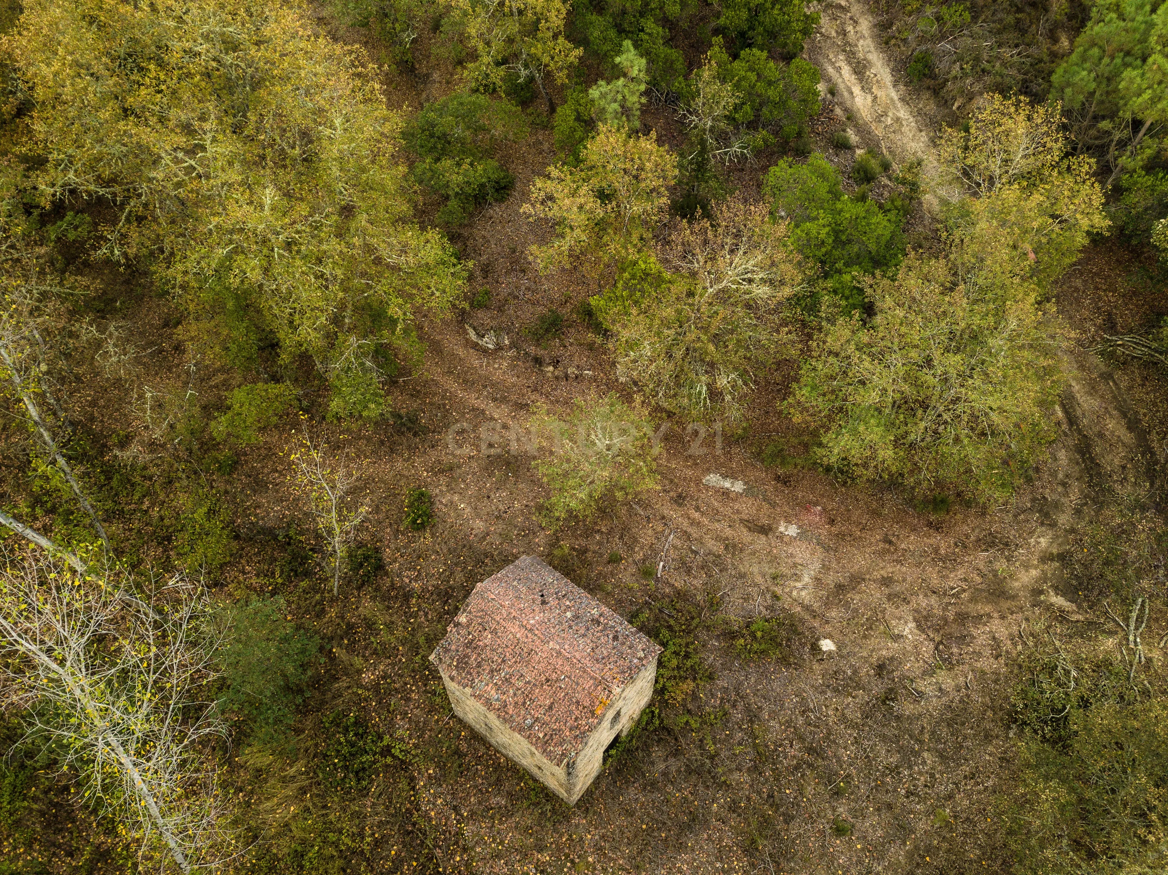 Quinta em Midões, Tábua, com cerca de 6 hectares junto ao Rio Cavalos com moinho de água! - Image 17