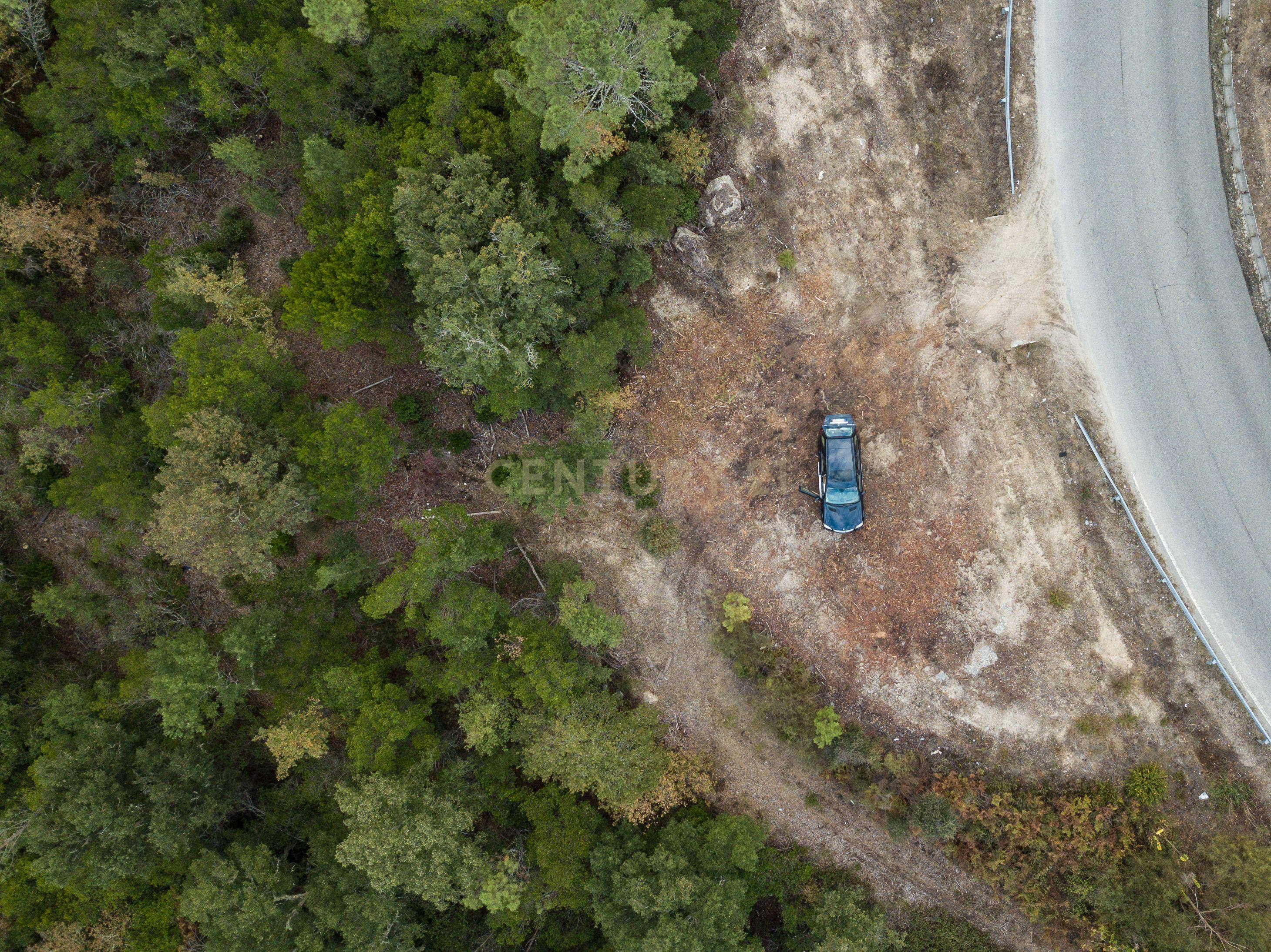 Quinta em Midões, Tábua, com cerca de 6 hectares junto ao Rio Cavalos com moinho de água! - Image 9