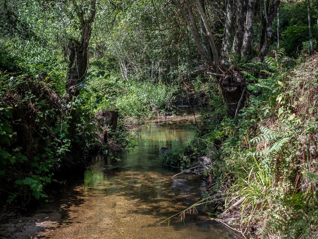 Quinta em  Midões, Tábua, com cerca de 6 hectares junto ao Rio Cavalos com moinho de água! - Image 24