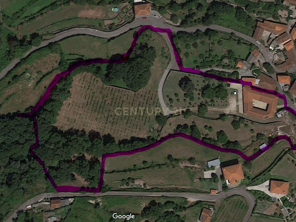 Quinta com Licença de Empreendimento Turístico - Póvoa de Lanhoso - Image 31