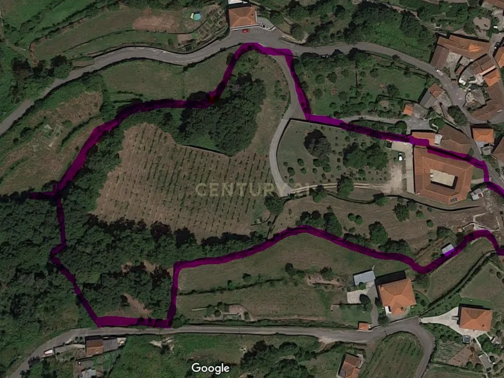 Quinta com Licença de Empreendimento Turístico - Póvoa de Lanhoso - Image 31
