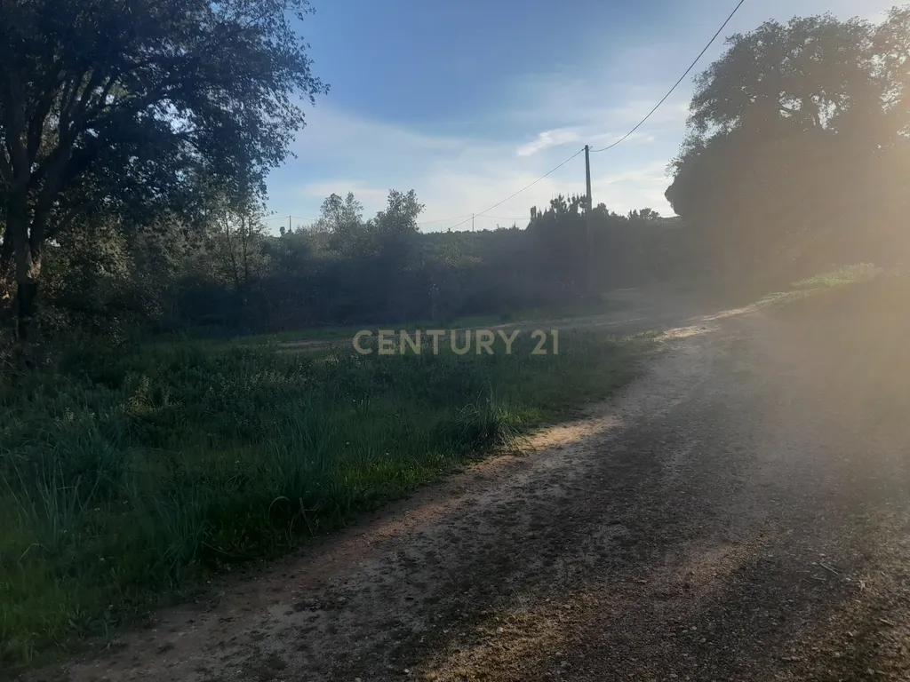 Terreno Zona Calma - Image 11