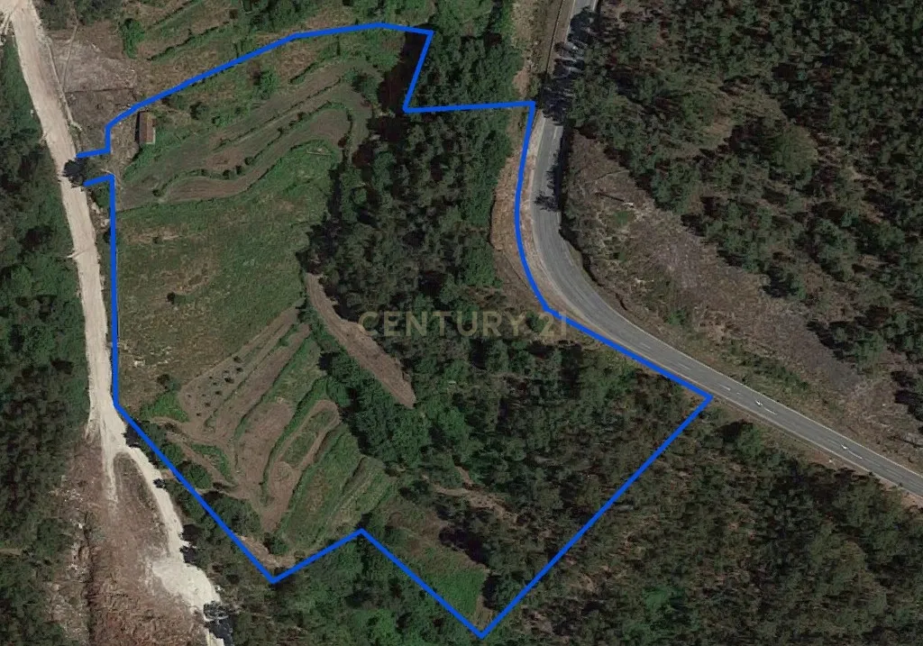 Uma propriedade rural de 1,5 hectares situada em Oliveira de Frades, que possui uma casa de 80m2 necessitando de renovação, está próxima da albufeira da Barragem de Ribeiradio. - Image 39