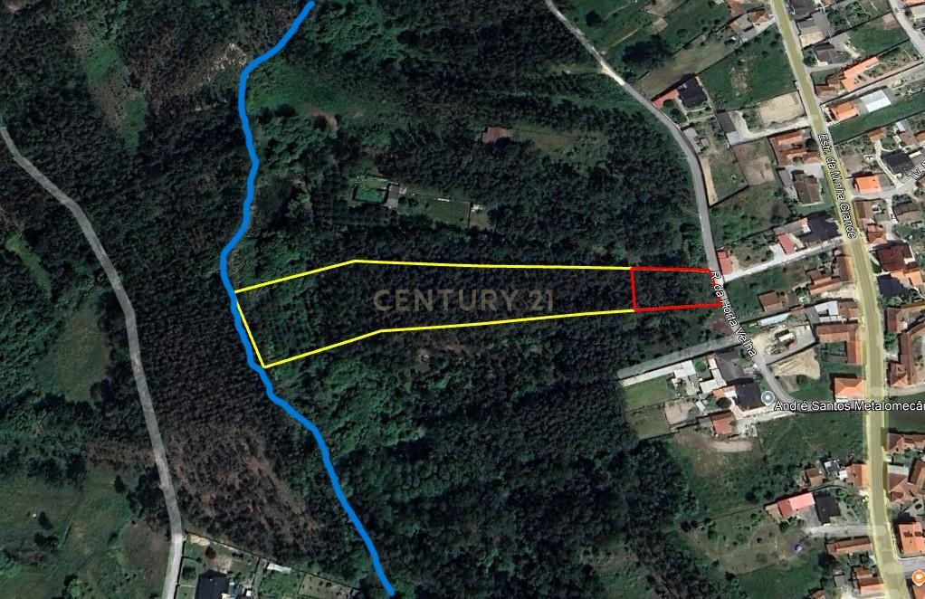 Terreno Rustico/Urbano com 11.000 m2 - Image 16