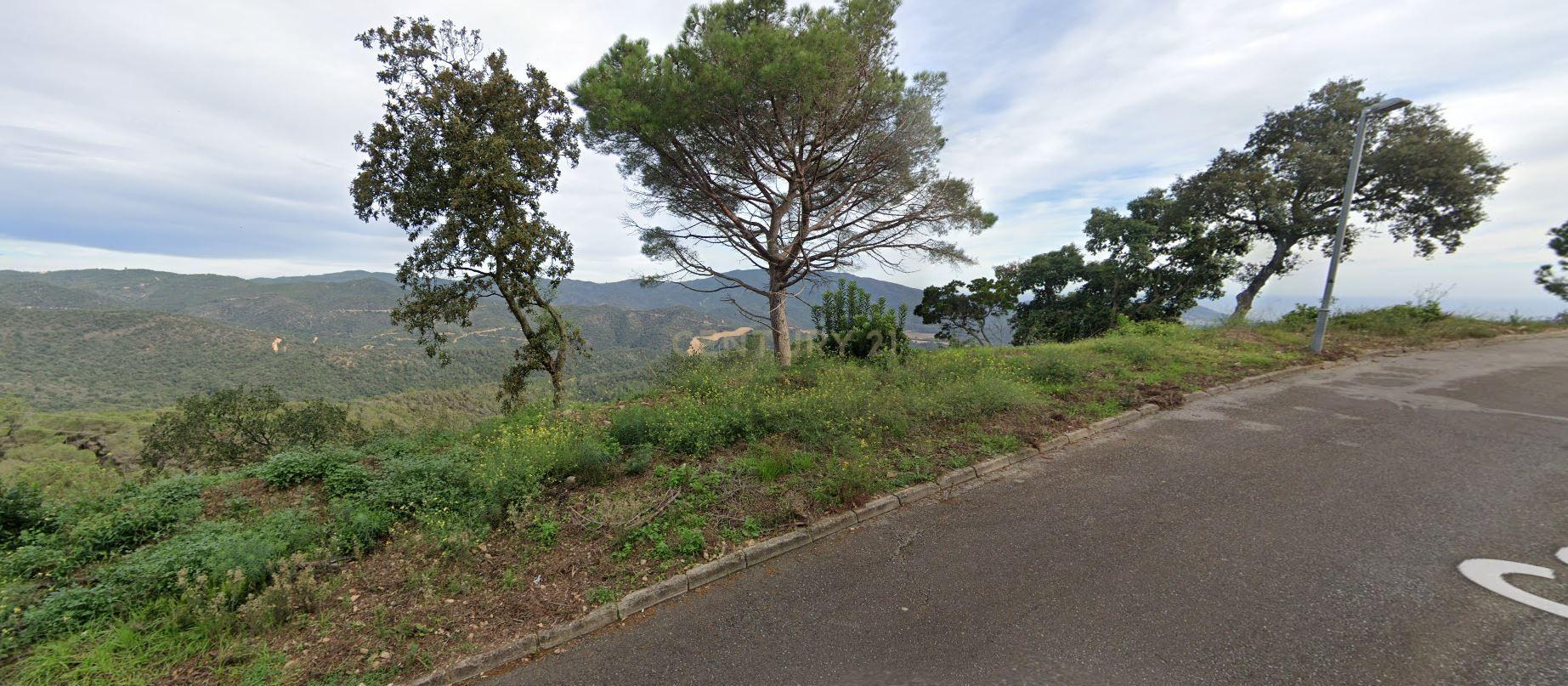  - Image 1