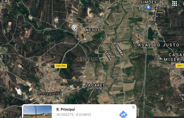 Terreno Almagreira - Pombal - Image 11