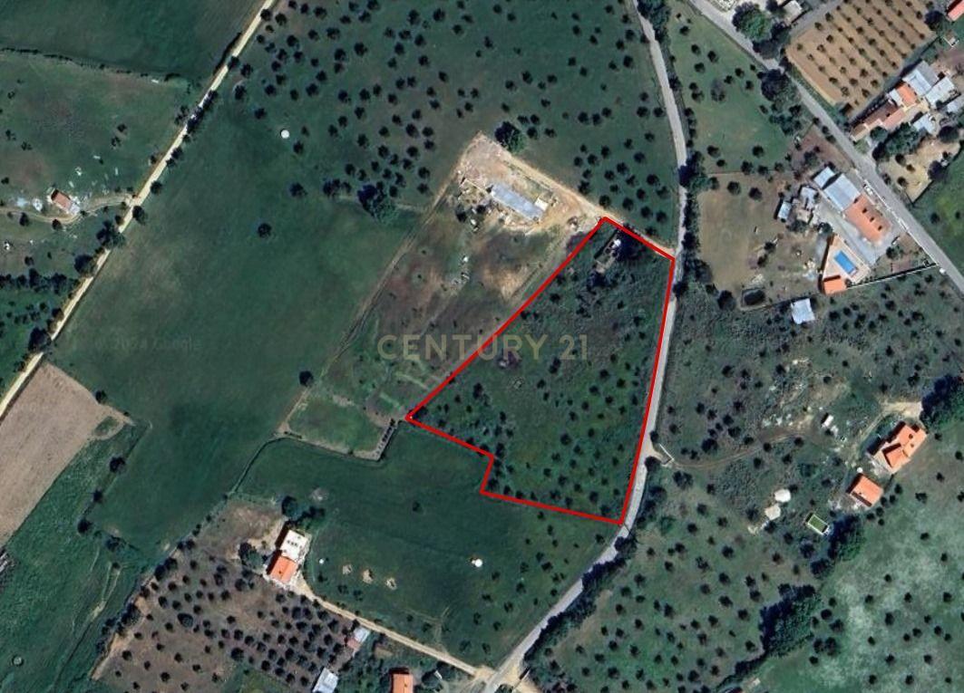 Lote de Terreno com Ruína em Montemor-o-Novo - Image 1