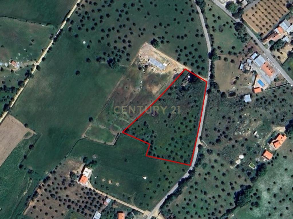 Lote de Terreno com Ruína em Montemor-o-Novo - Image 1