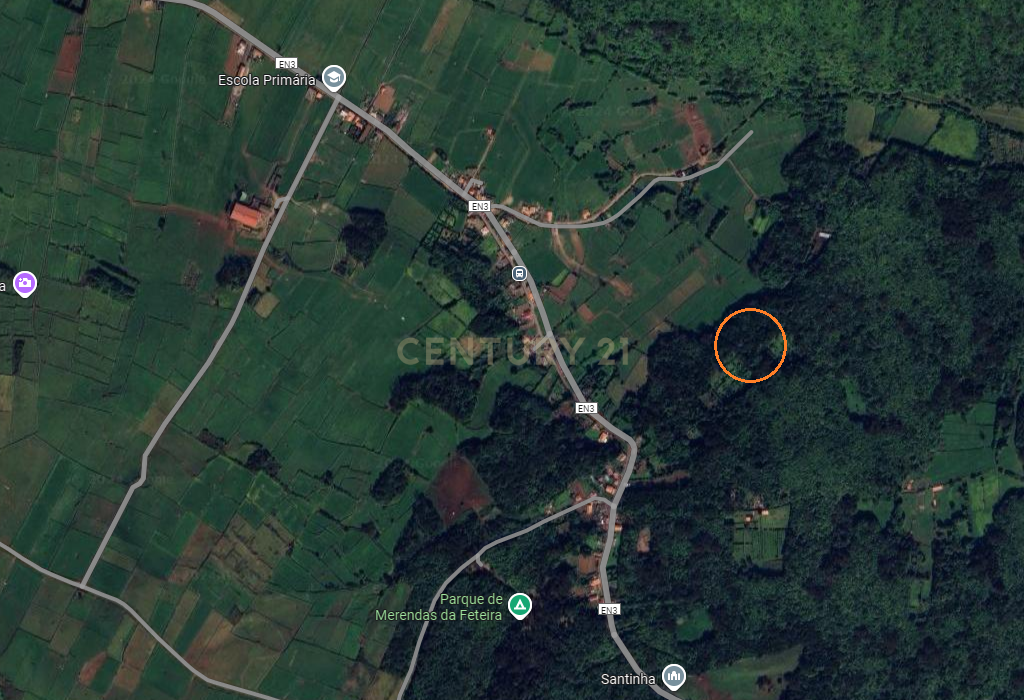 Terreno rústico com 6.534m2, ilha Graciosa - Image 4