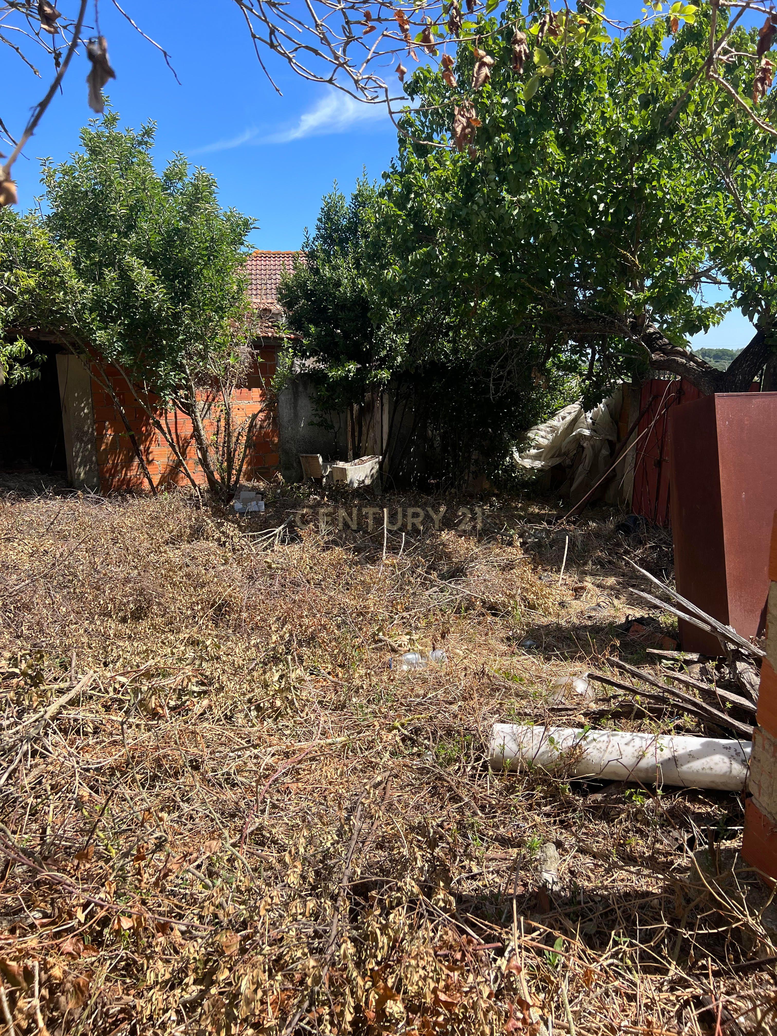 Potencial a 50km de Lisboa: Casa para Renovar com Amplo Logradouro numa Vila Tranquila - Image 7