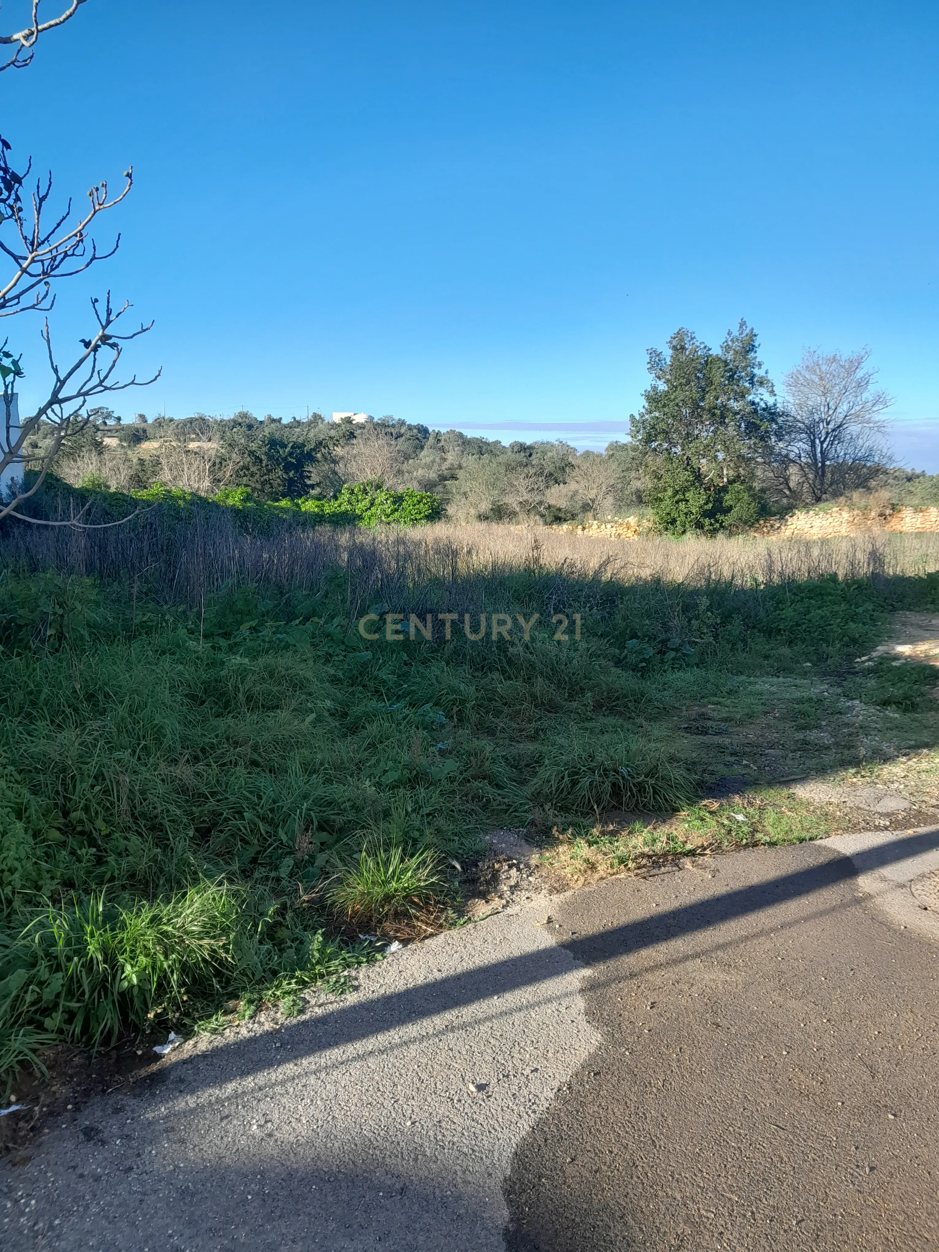 Terreno Urbano para Construção DE 480m2 - Paderne - Image 4