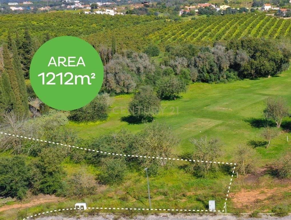 Terreno com Permissão de Construção em Local Privilegiado - Image 4