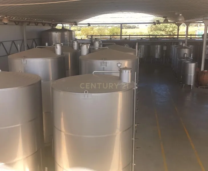 Herdades com produção Vinho, com 157,3ha situada em Terrugem, concelho de Elvas - Image 3