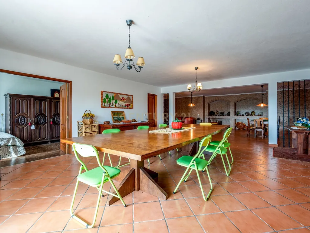 Magnifica Propriedade para venda em Olalhas, Tomar. - Image 7