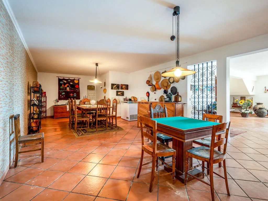 Magnifica Propriedade para venda em Olalhas, Tomar. - Image 9