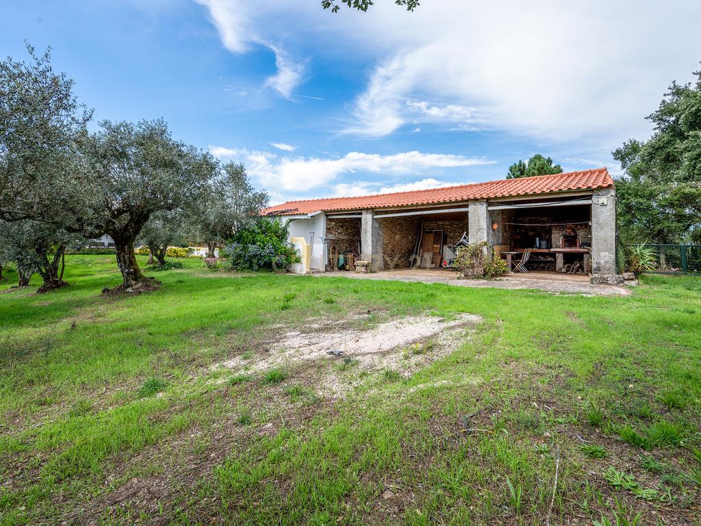 Magnifica Propriedade para venda em Olalhas, Tomar. - Image 17