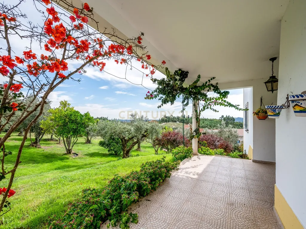 Magnifica Propriedade para venda em Olalhas, Tomar. - Image 3