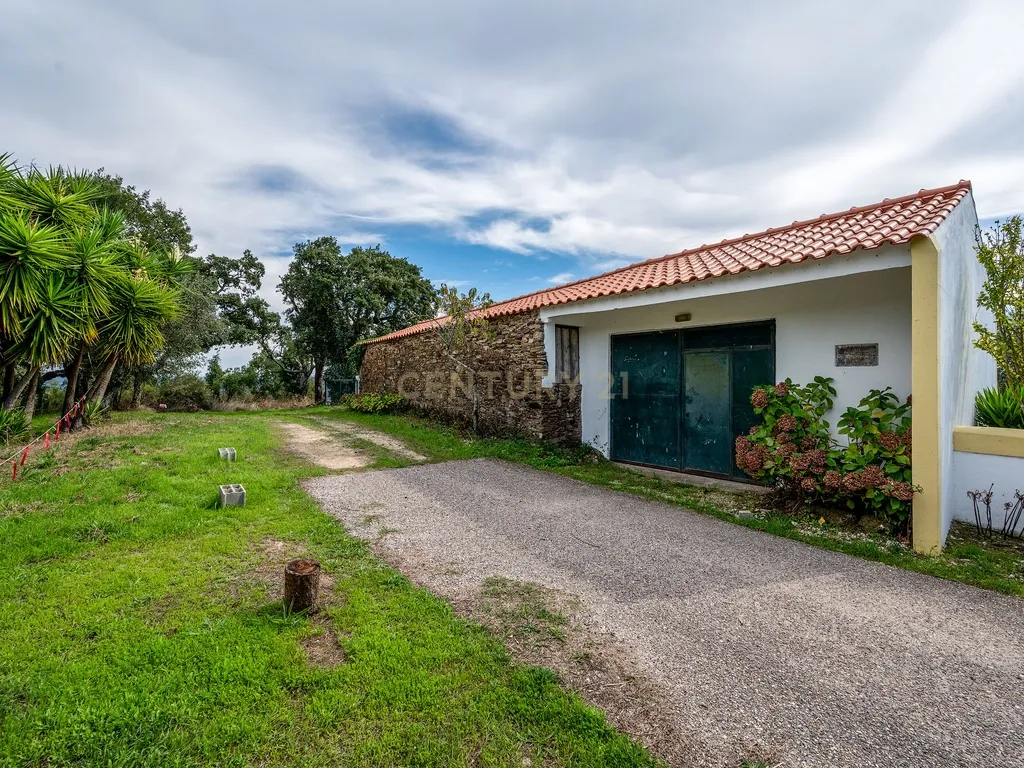 Magnifica Propriedade para venda em Olalhas, Tomar. - Image 16