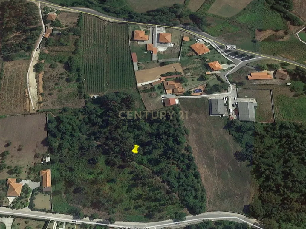Terreno de construção Ideal para Loteamento 18 mil m2 em Mujães - Image 6