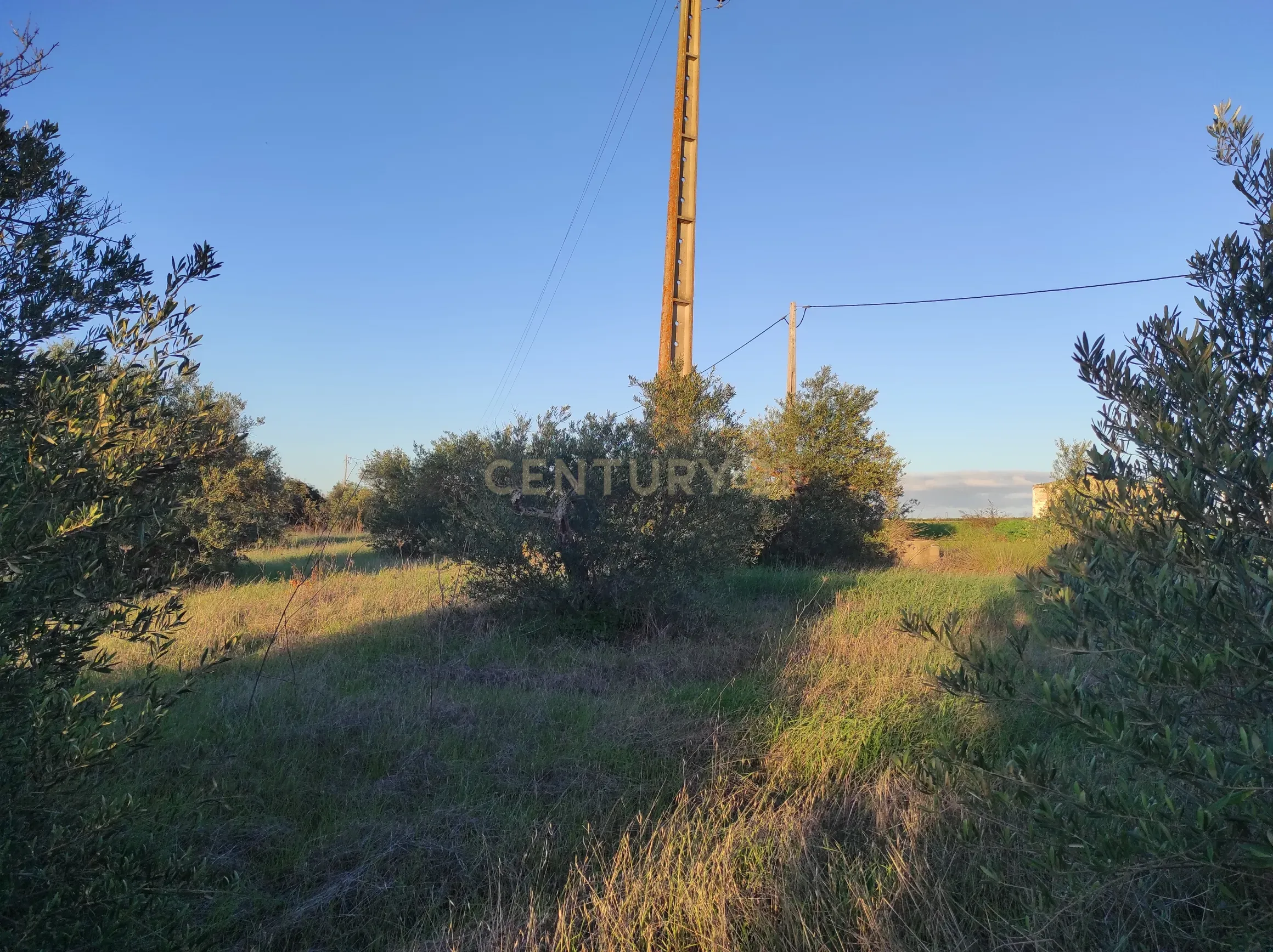 Terreno na Godinha- Campo Maior - Image 1
