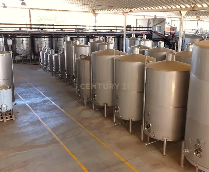 Herdades com produção Vinho, com 157,3ha situada em Terrugem, concelho de Elvas - Image 17