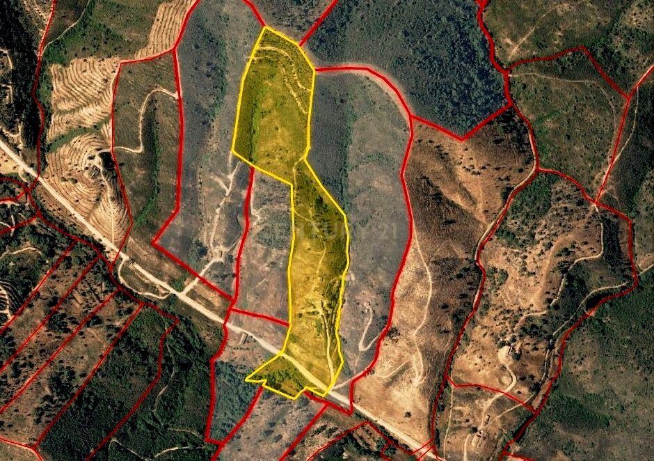 Herdade com 6 Ha com uma casa térrea - Image 5