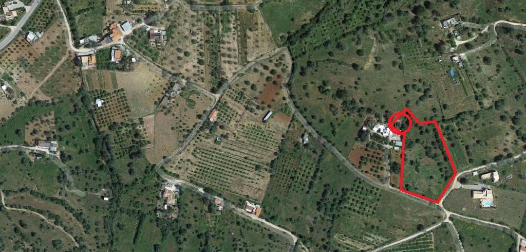 Terreno com Ruína em Moncarapacho - Image 11