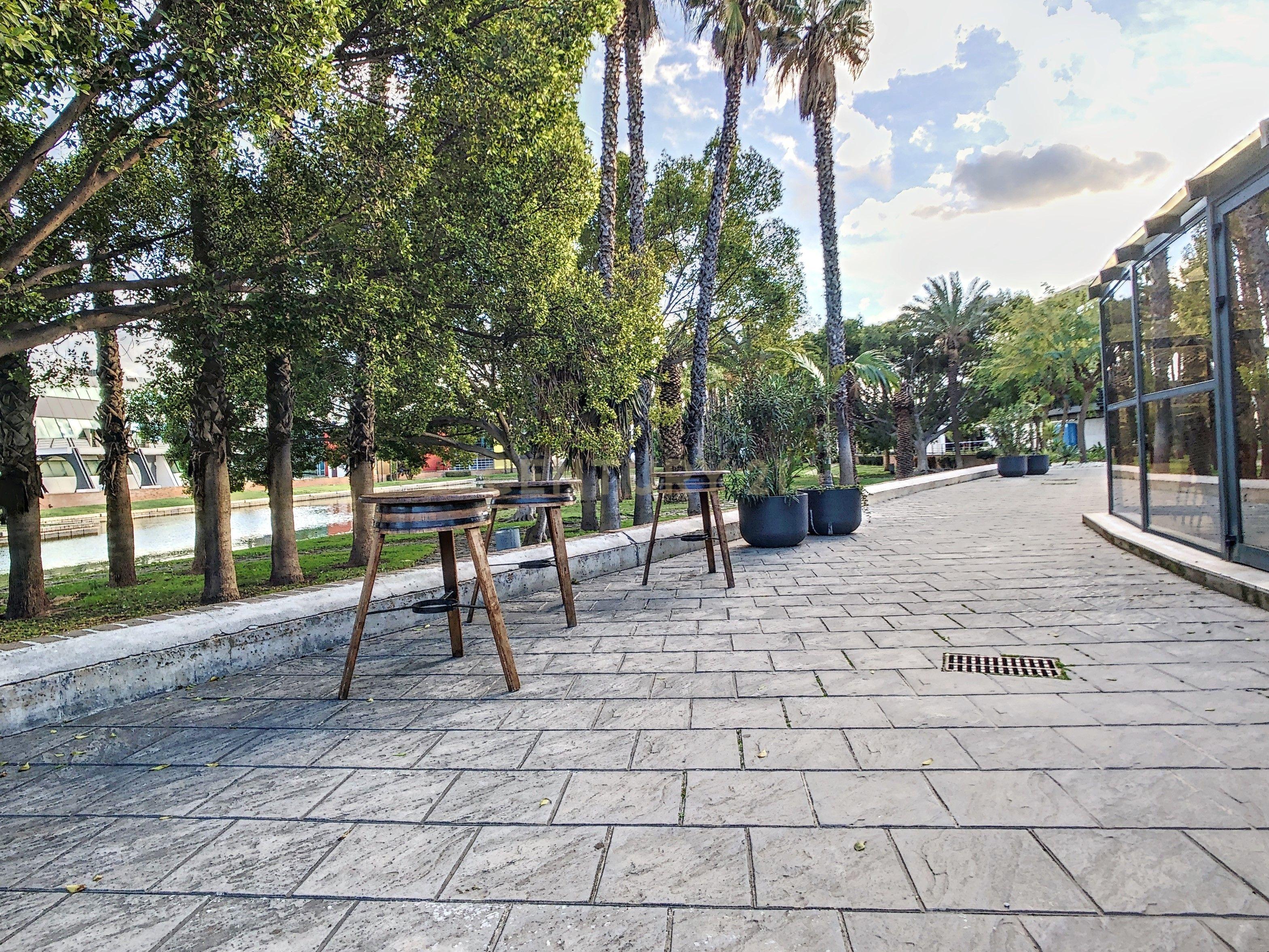 undefined - Image 13