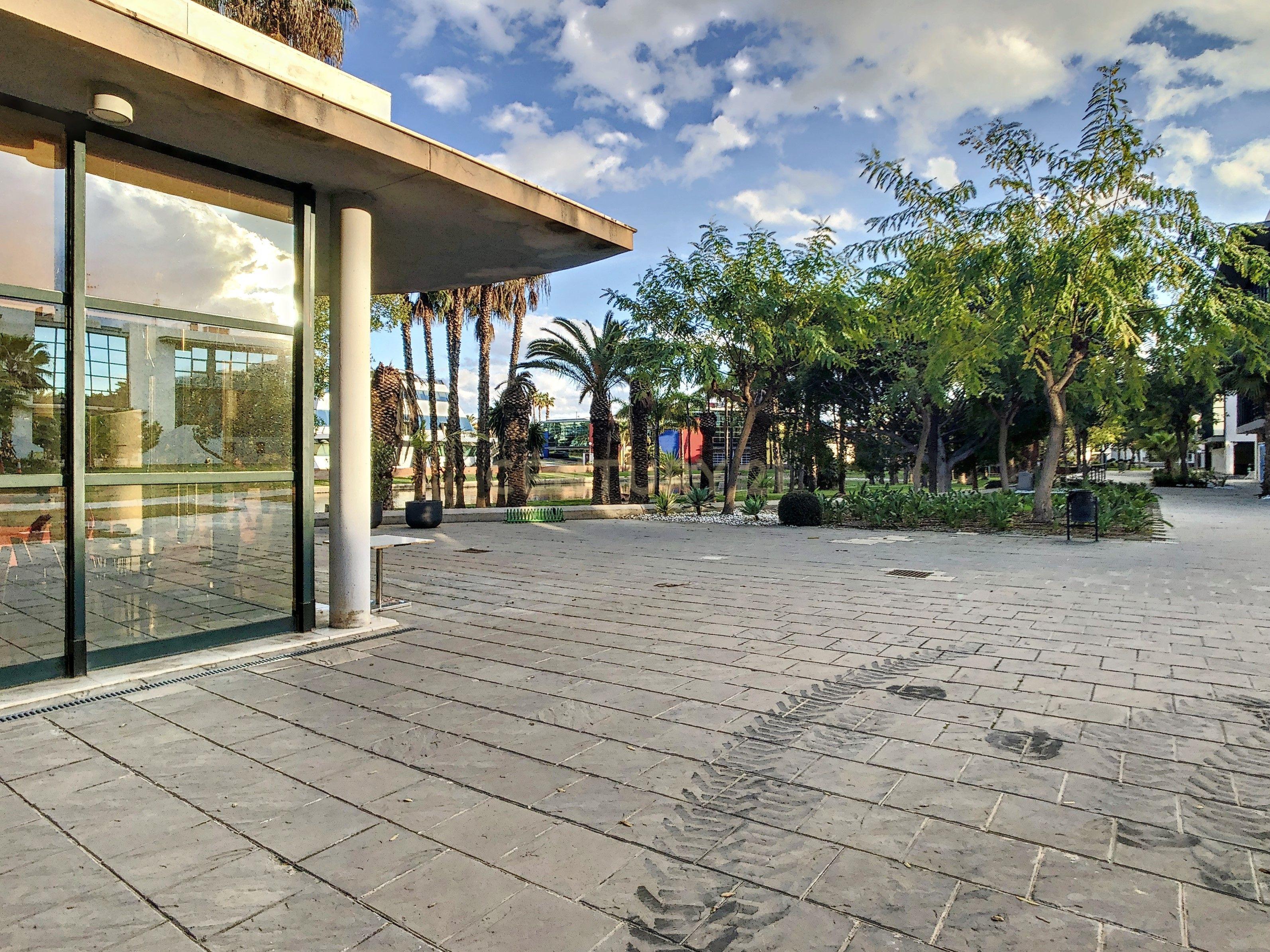 undefined - Image 12