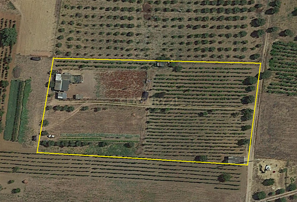 Terreno Rustico com 6240m2 em Pontével - Cartaxo - Image 1