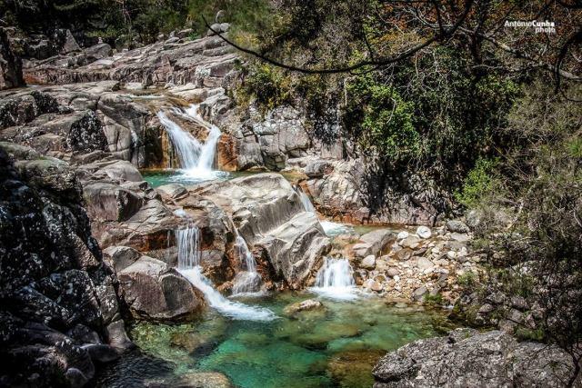 Quinta com água Nascente na Zona de Gerês - Image 57