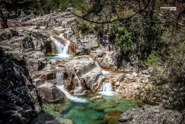 Moradia em Pedra na zona do Gerês - Image 19