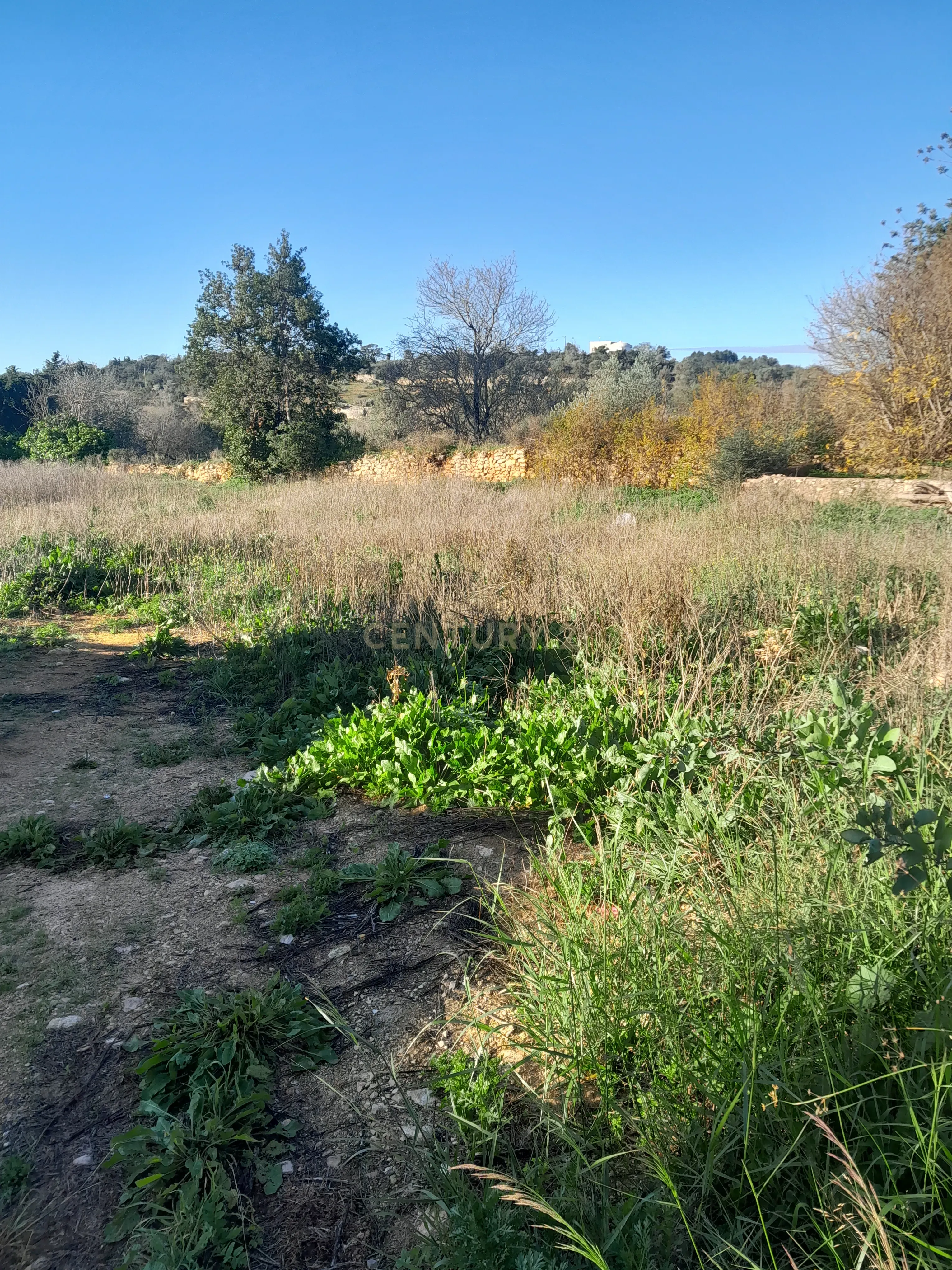Terreno Urbano para Construção DE 480m2 - Paderne - Image 10