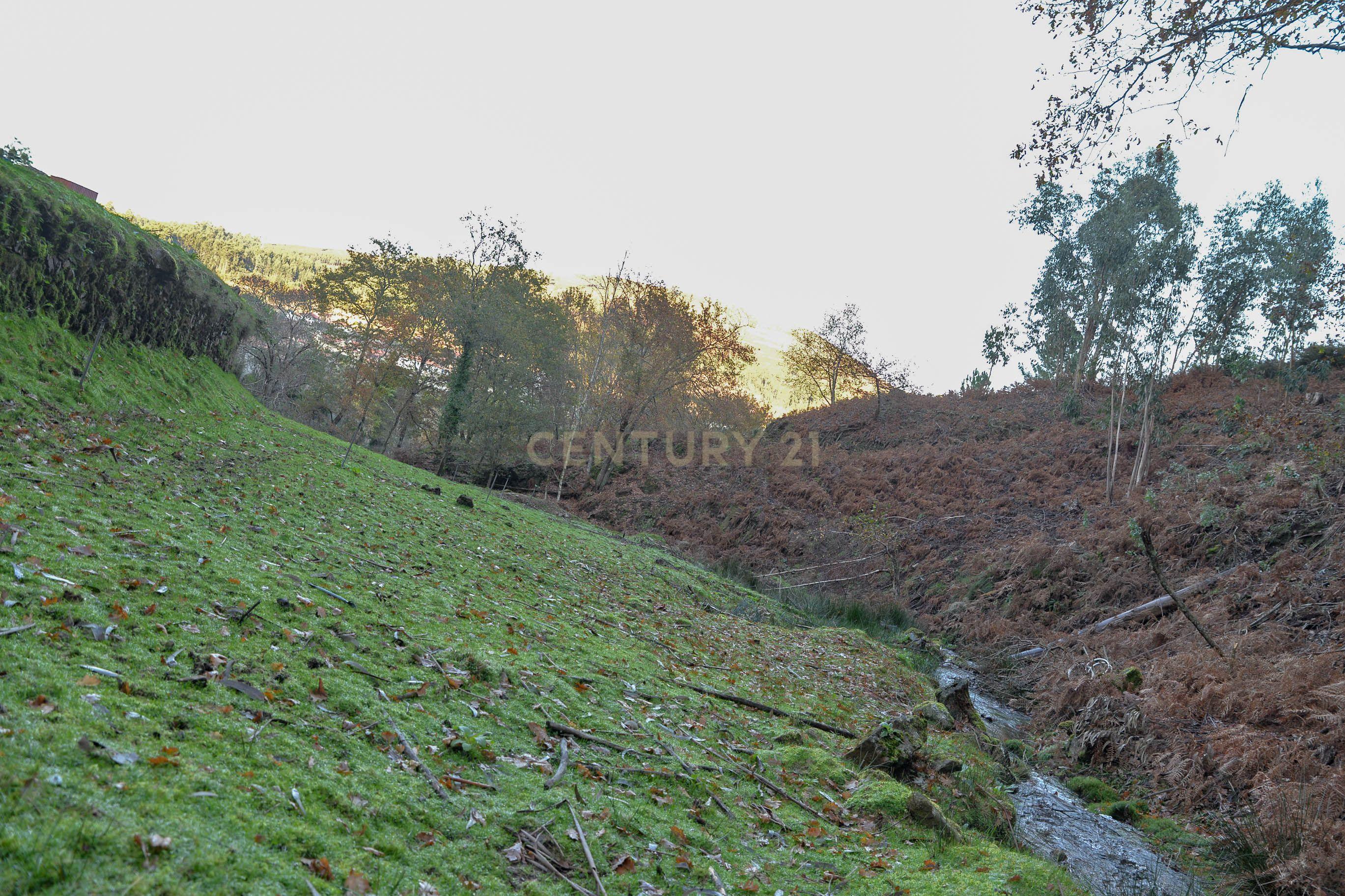 Moradia com três quartos situada numa propriedade em Monção. - Image 66