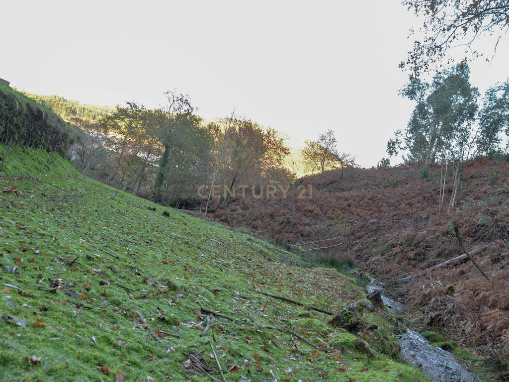 Moradia com três quartos situada numa propriedade em Monção. - Image 66