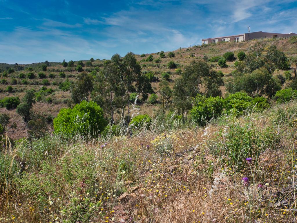 Herdade de 271 Hectares no Barlavento Algarvio, com moradia + 4 estudios, piscina, 9 barragens, 3 estufas. - Image 63