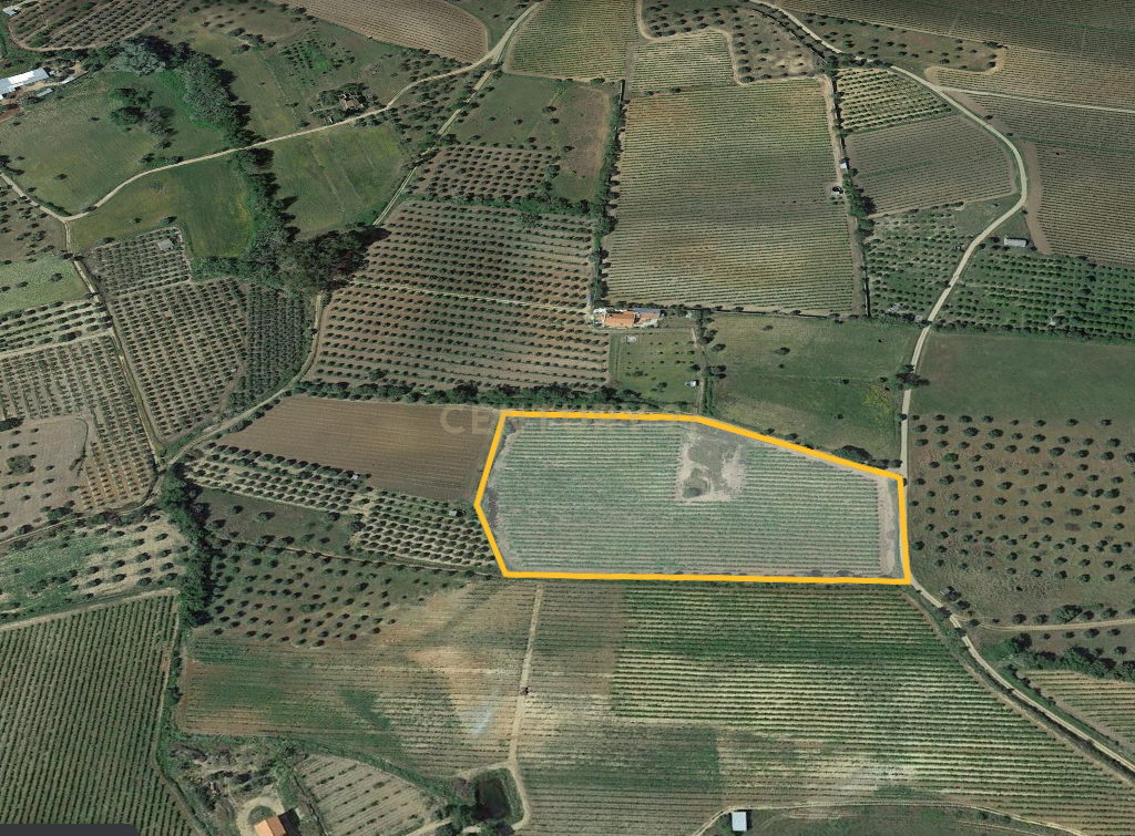 Quinta dos Capuchos, em Vila de Frades - Image 24