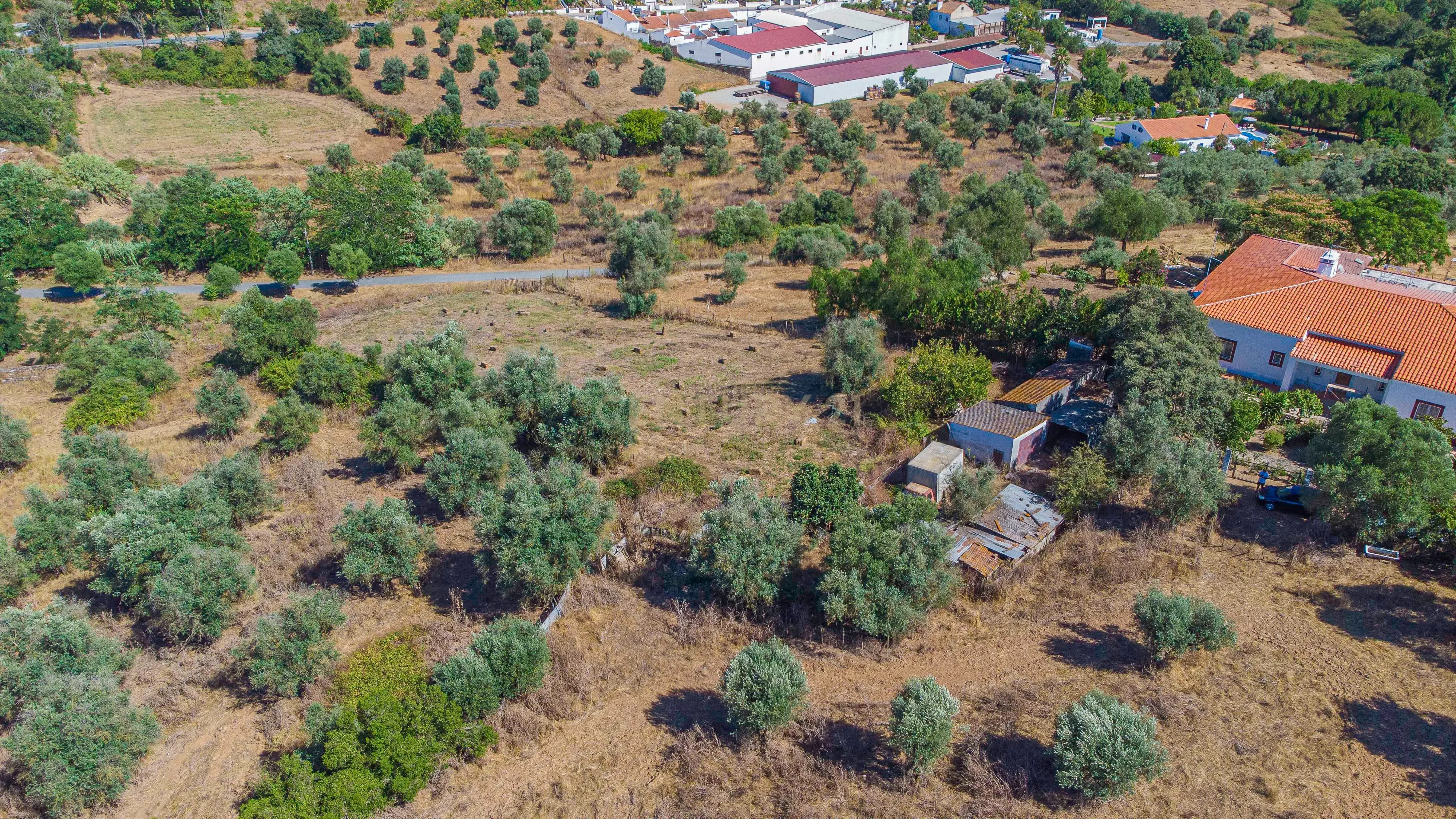 # Terreno Rustico em pleno centro de Montemor -o -Novo - Image 3