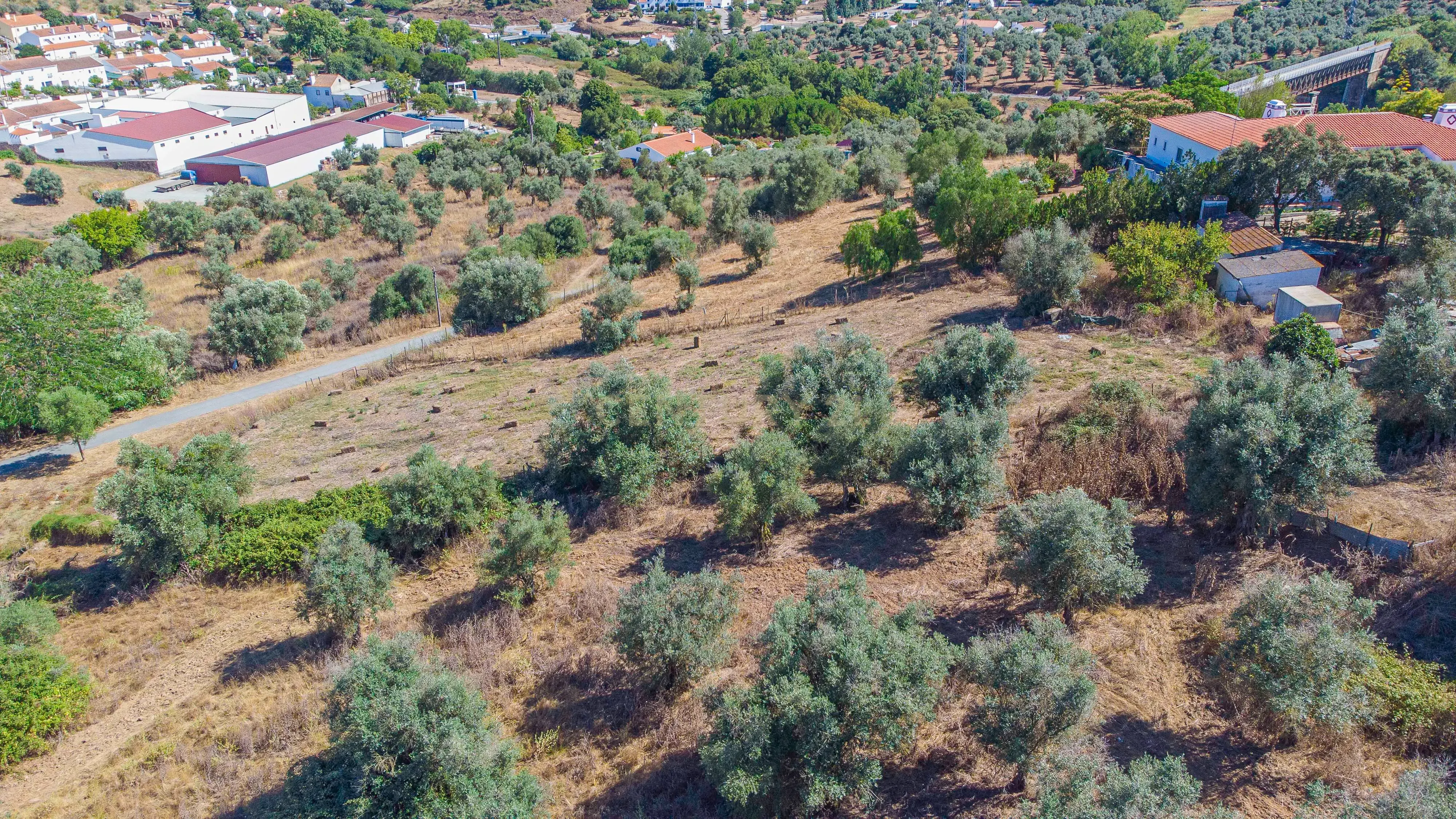 # Terreno Rustico em pleno centro de Montemor -o -Novo - Image 42