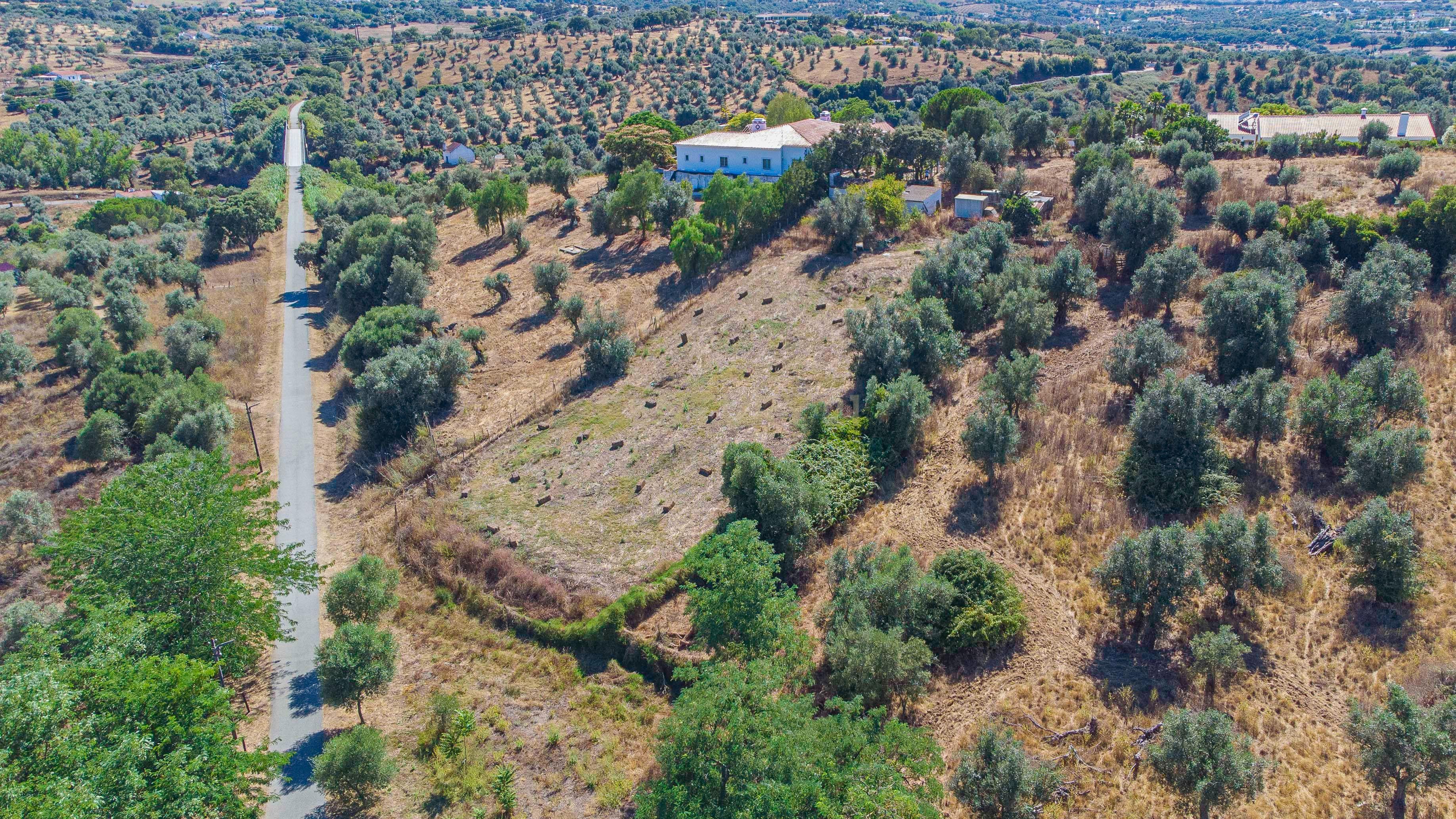 # Terreno Rustico em pleno centro de Montemor -o -Novo - Image 40