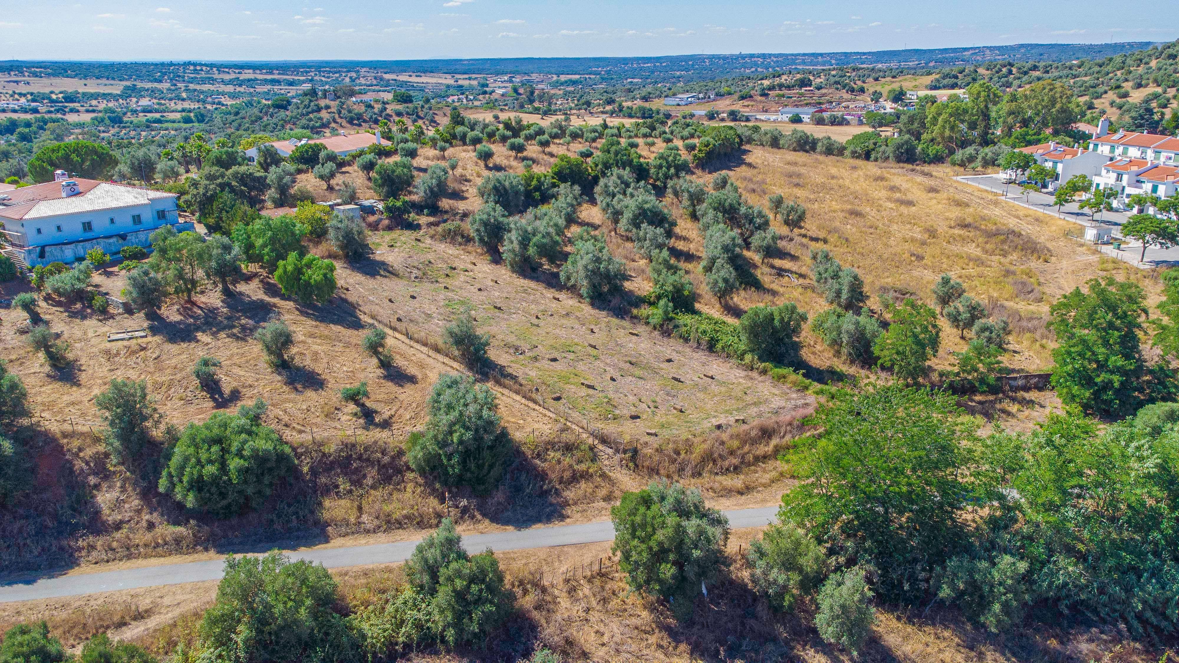 # Terreno Rustico em pleno centro de Montemor -o -Novo - Image 34