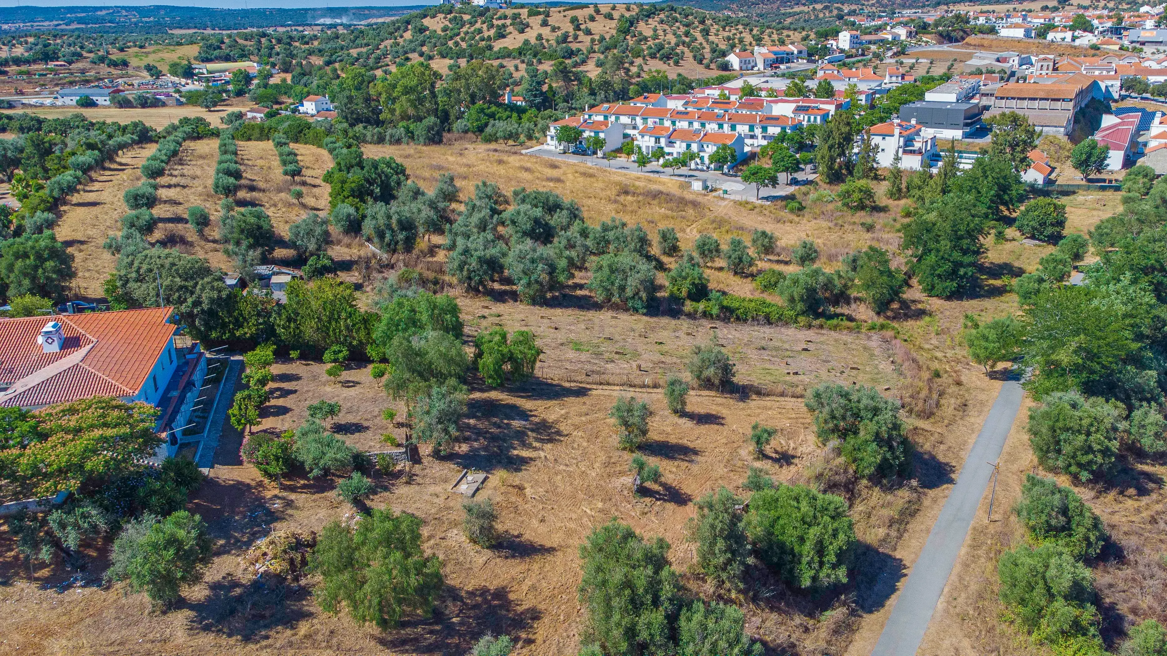 # Terreno Rustico em pleno centro de Montemor -o -Novo - Image 30