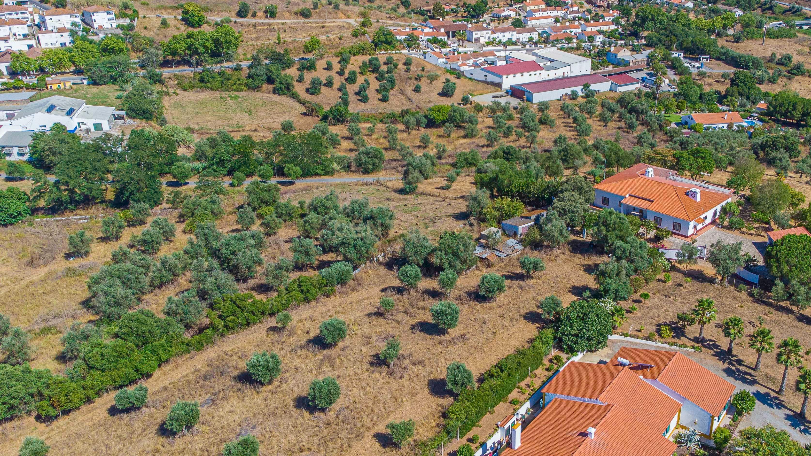 # Terreno Rustico em pleno centro de Montemor -o -Novo - Image 29