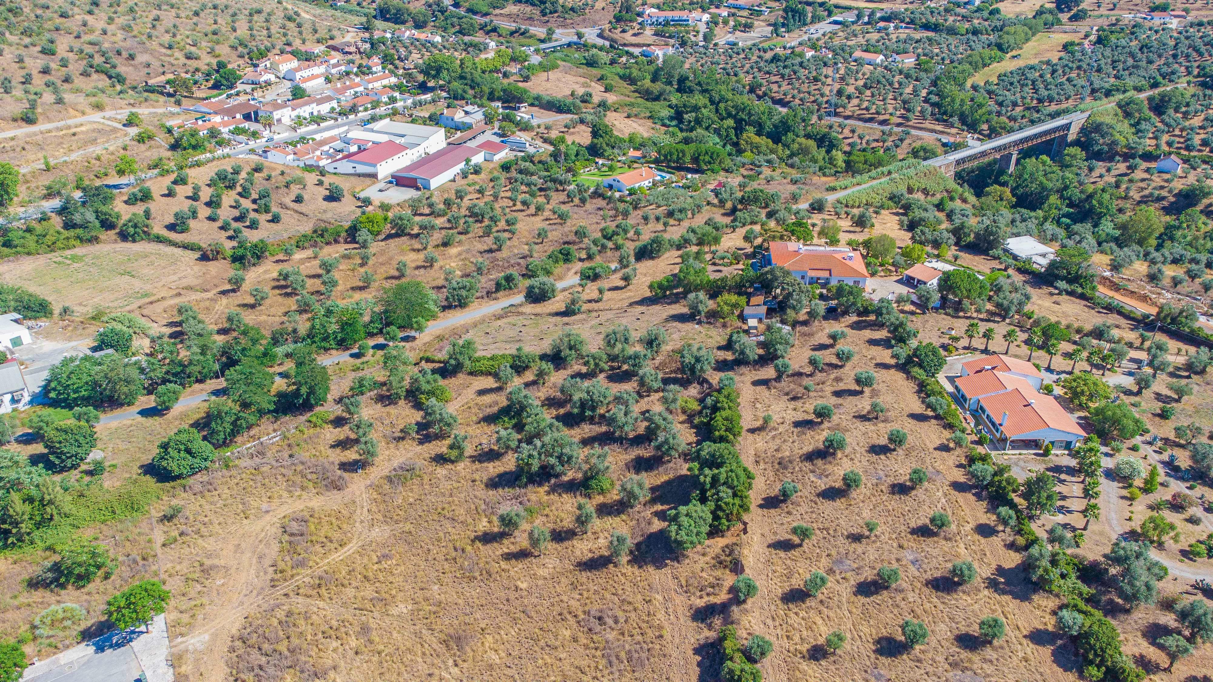 # Terreno Rustico em pleno centro de Montemor -o -Novo - Image 37